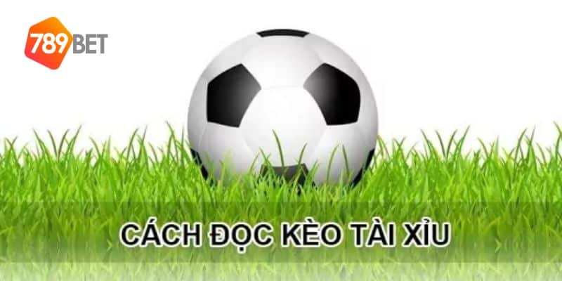 Cách đọc kèo bóng đá tài xỉu: Hiểu những con số quyết định 4 cách đọc kèo bóng đá tài xỉu