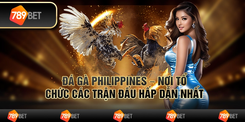 Đá gà Philippines – nơi tổ chức các trận đấu hấp dẫn nhất