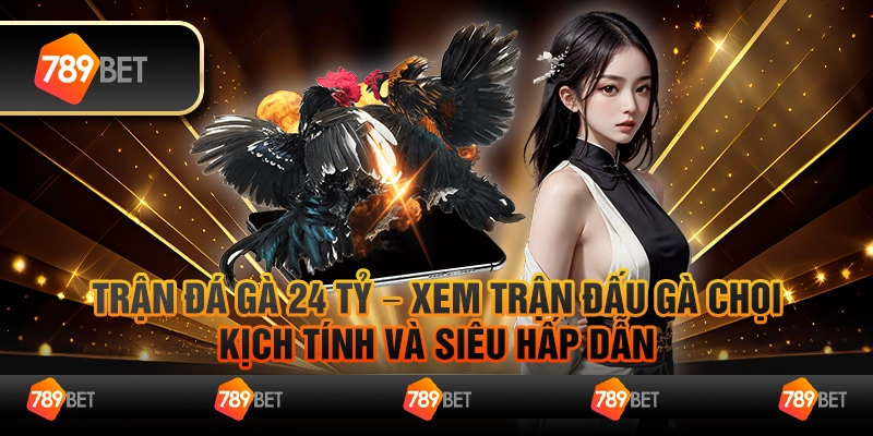 Trận đá gà 24 tỷ – Xem trận đấu gà chọi kịch tính và siêu hấp dẫn