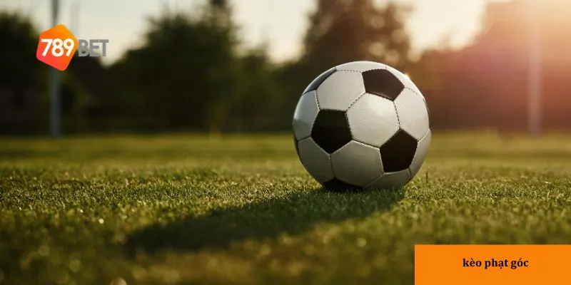 Hướng dẫn tính kèo tài xỉu phạt góc