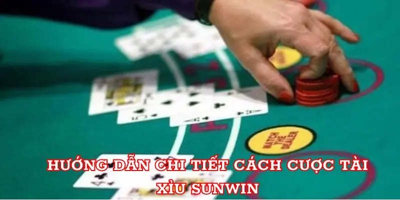 Hướng dẫn chi tiết cách cược Tài Xỉu Sunwin