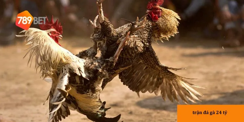 Thể thức thi đấu mới 2024