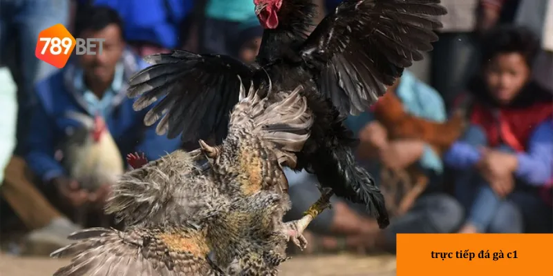 Trải nghiệm chất lượng truyền phát cao