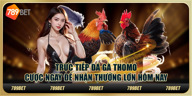 Trực tiếp đá gà Thomo: Cược ngay để nhận thưởng lớn hôm nay Trực tiếp đá gà Thomo: Cược ngay để nhận thưởng lớn hôm nay