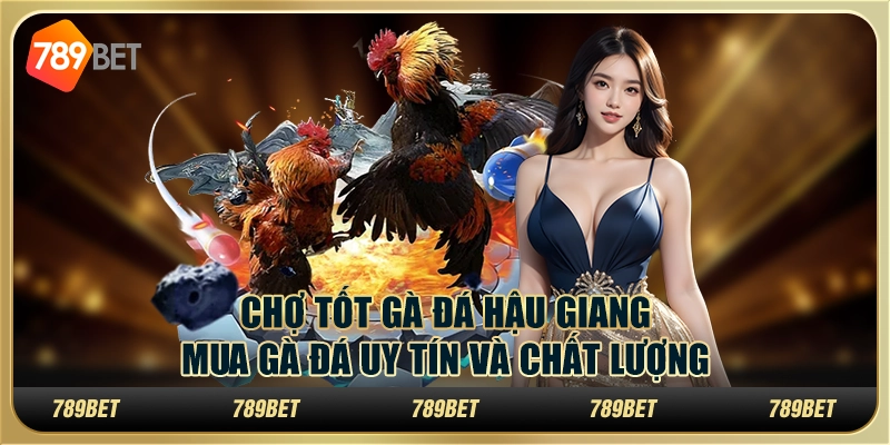 Chợ Tốt Gà Đá Hậu Giang: Mua Gà Đá Uy Tín Và Chất Lượng