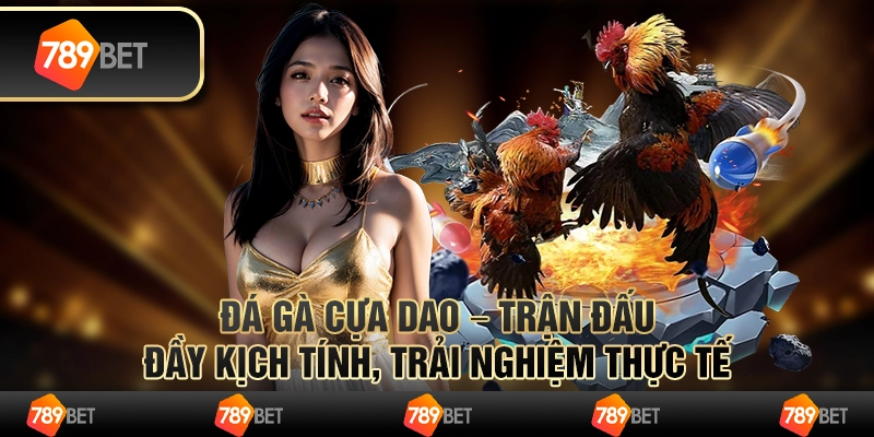 Đá gà cựa dao hot – trận đấu đầy kịch tính, trải nghiệm thực tế