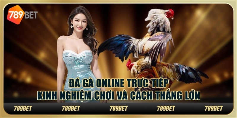 Đá gà online trực tiếp: kinh nghiệm chơi và cách thắng lớn