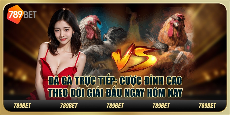 Đá gà trực tiếp: Cược đỉnh cao, theo dõi giải đấu ngay hôm nay