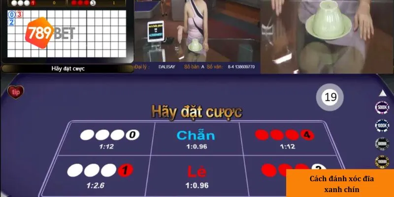 Phân tích thay vì cảm tính giúp bạn đưa ra lựa chọn chính xác hơn.