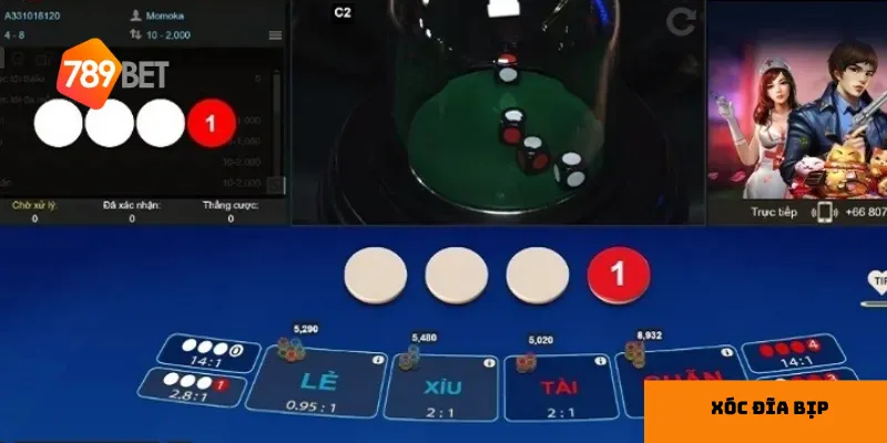 Cơ sở cá cược uy tín 789bet