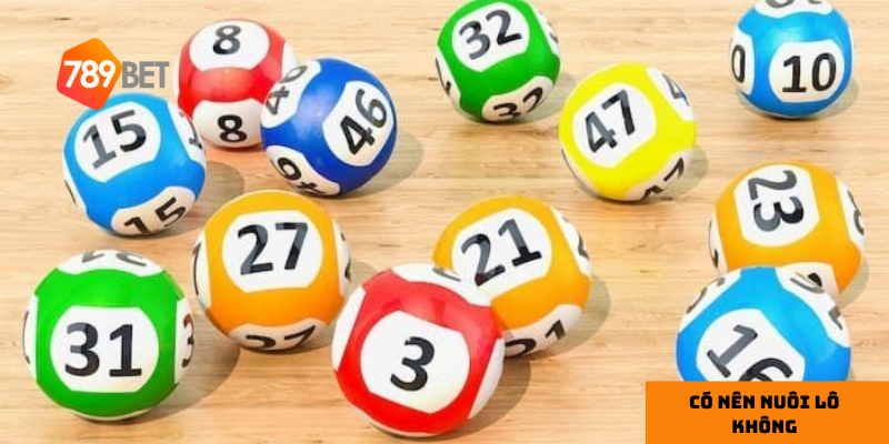 Hiểu về phương pháp nuôi lô trong lô đề