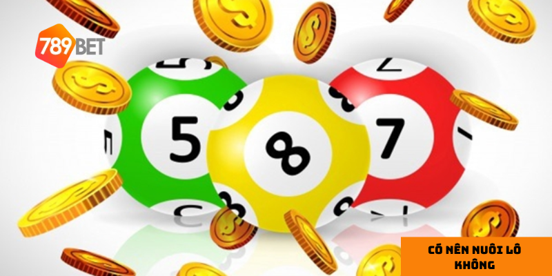 Phân tích về việc có nên nuôi lô không