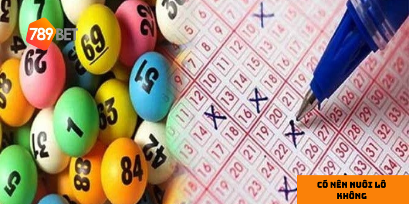 Bí quyết nuôi lô hiệu quả từ cao thủ