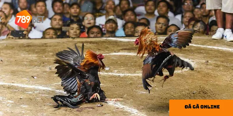  Đăng ký dễ dàng giúp người chơi tham gia nhanh chóng.