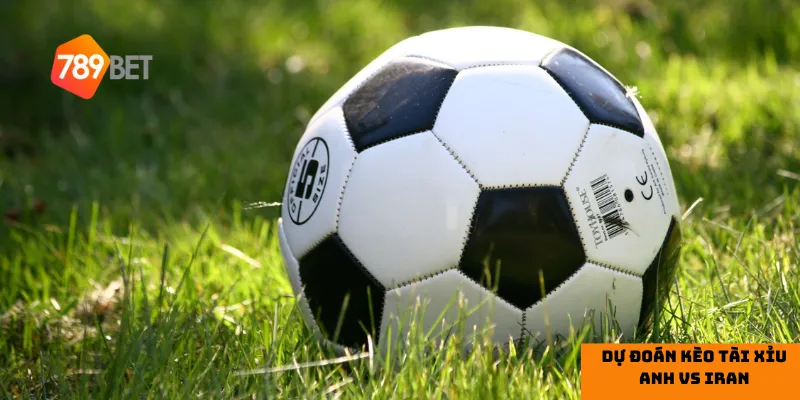 Nhận định dự đoán kèo tài xỉu Anh vs Iran