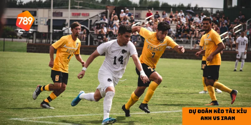 Mẹo dự đoán kèo tài xỉu Anh vs Iran hiệu quả