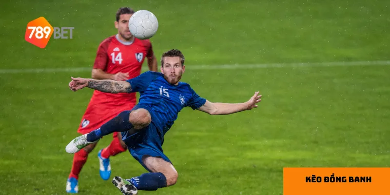 Hiểu rõ thông tin đội bóng và theo dõi tỷ lệ kèo giúp bạn đặt cược chính xác hơn.