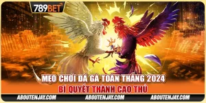 Mẹo Chơi Đá Gà Toàn Thắng 2024: Bí Quyết Thành Cao Thủ