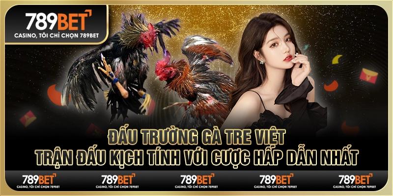 Đấu trường gà tre Việt: Trận đấu kịch tính với cược hấp dẫn nhất