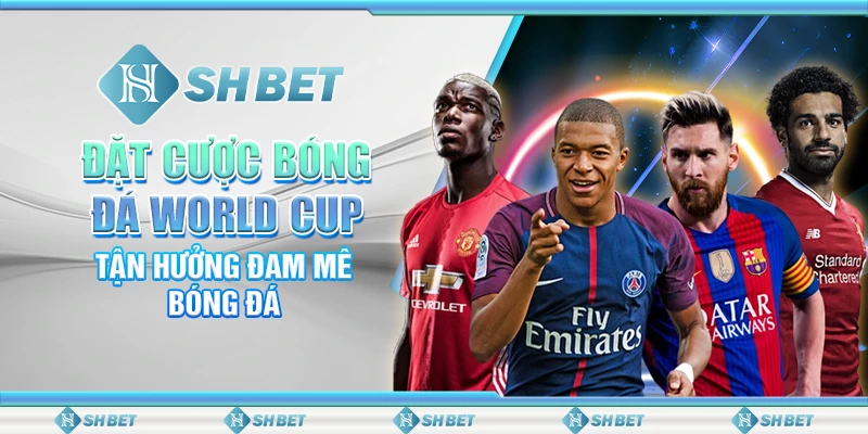 đặt cược bóng đá World Cup