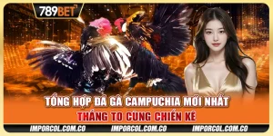 Tổng Hợp Đá Gà Campuchia Mới Nhất - Thắng To Cùng Chiến Kê