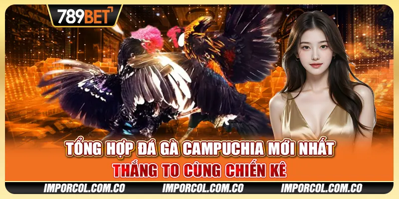 Tổng Hợp Đá Gà Campuchia Mới Nhất - Thắng To Cùng Chiến Kê