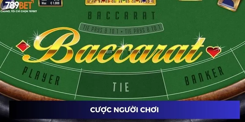 Cược Người Chơi