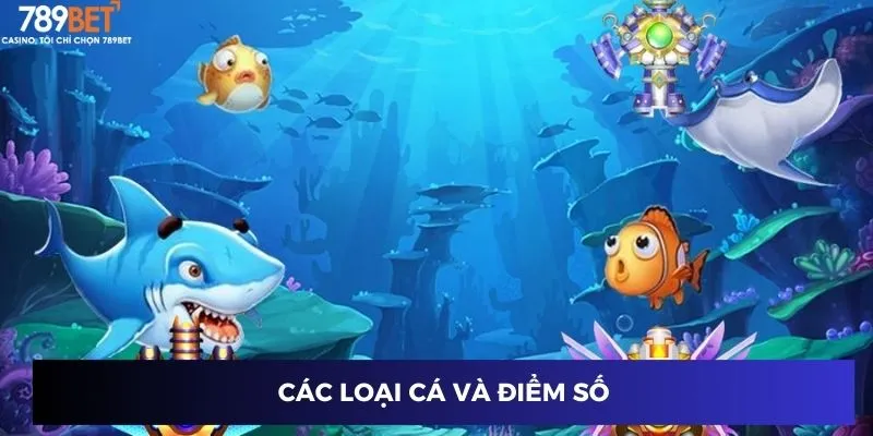 Các loại cá và điểm số