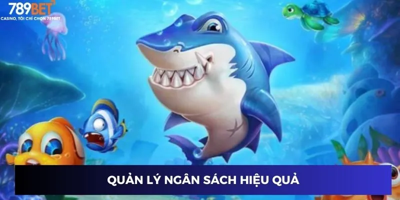 Quản lý ngân sách hiệu quả