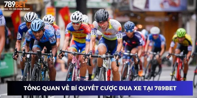 Tổng quan về bí quyết cược đua xe tại 789BET