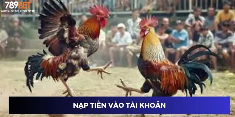Nạp tiền vào tài khoản