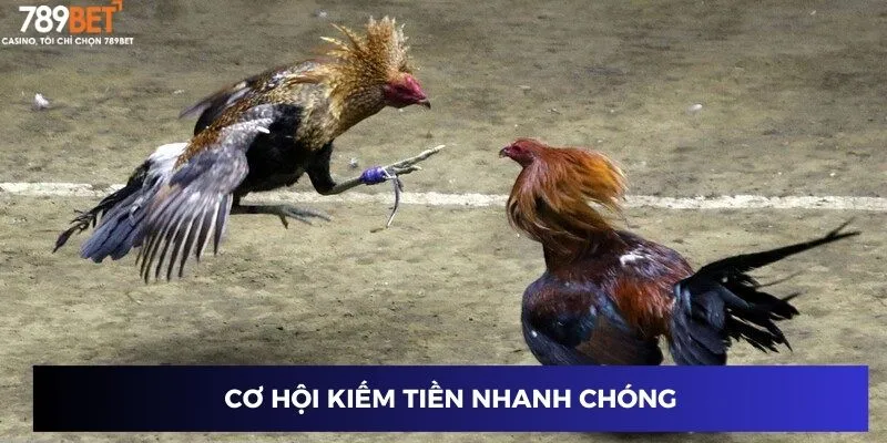 Cơ hội kiếm tiền nhanh chóng