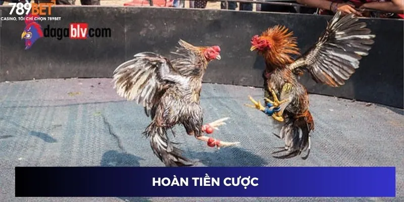 Hoàn tiền cược