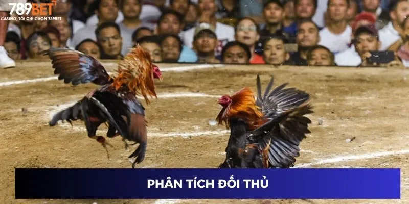 Phân tích đối thủ
