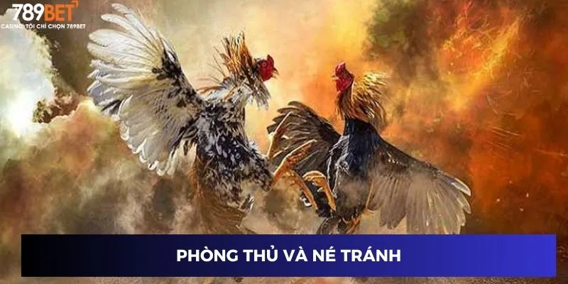 Phòng thủ và né tránh