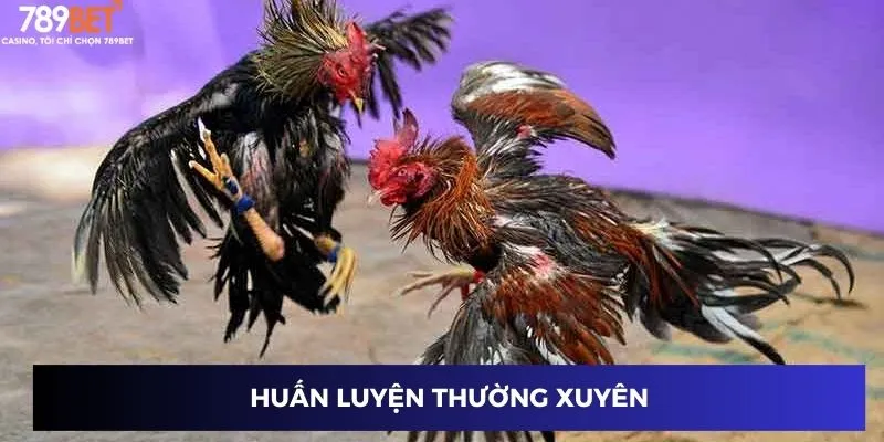Huấn luyện thường xuyên