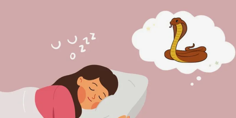 Nằm mơ thấy rắn tốt hay xấu?