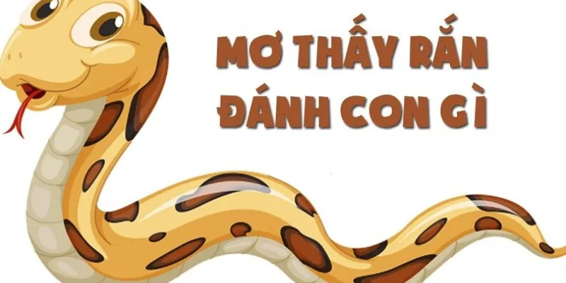 Mơ thấy rắn đánh số mấy thì trúng?