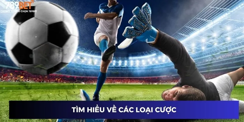 Nhận Định Trận Đấu Hôm Nay - Dự Đoán Chuẩn Từng Giây 4 Tìm hiểu về các loại cược