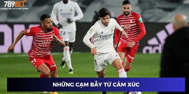 Những cạm bẫy từ cảm xúc