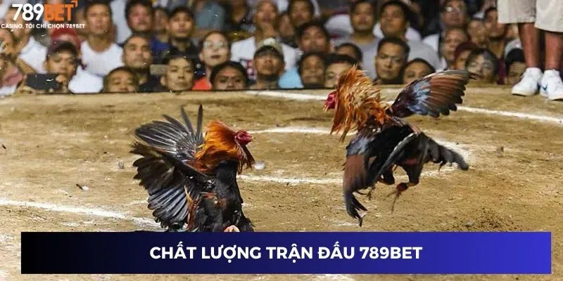 Chất lượng trận đấu 789BET