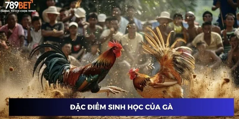 Đặc điểm sinh học của gà