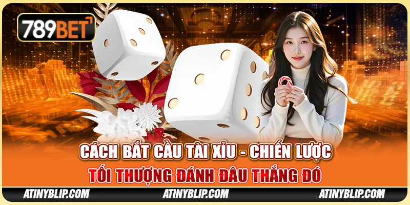 Cách Bắt Cầu Tài Xỉu - Chiến Lược Tối Thượng Đánh Đâu Thắng Đó
