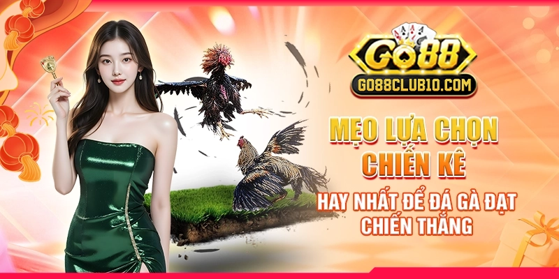 mẹo lựa chọn chiến kê