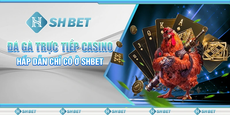 Đá Gà Trực Tiếp Casino Hấp Dẫn Chỉ Có Ở Nhà Cái SHBET