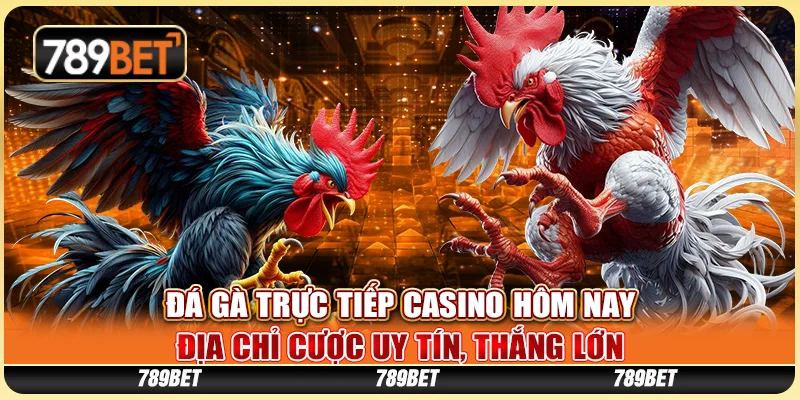 Đá Gà Trực Tiếp Casino Hôm Nay – Địa Chỉ Cược Uy Tín, Thắng Lớn