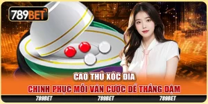 Cao Thủ Xóc Đĩa – Chinh Phục Mỗi Ván Cược Để Thắng Đậm
