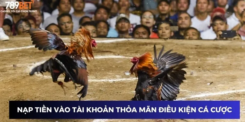 Nạp tiền vào tài khoản thỏa mãn điều kiện cá cược