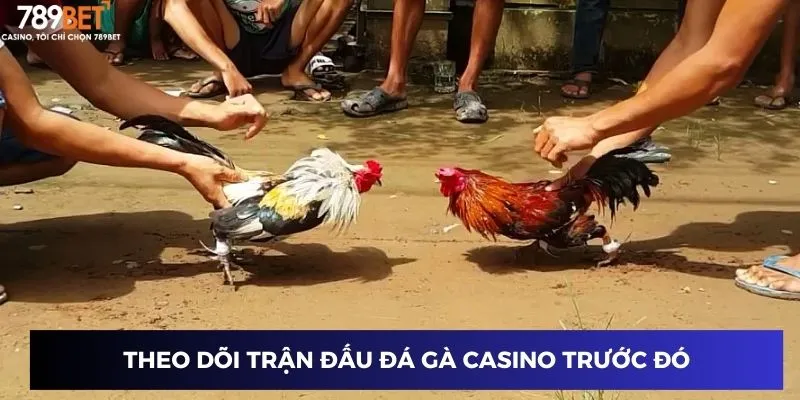 Theo dõi trận đấu đá gà casino trước đó