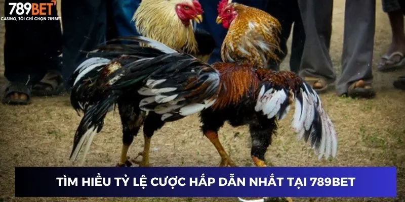 Tìm hiểu tỷ lệ cược hấp dẫn nhất tại 789BET